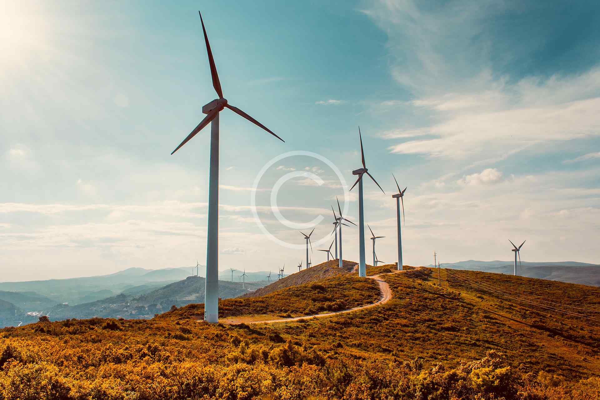 Arenya Elektrik İş Birimi